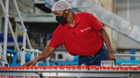 coca cola san fernando, pampanga job hiring|Coca cola Jobs in San Fernando, Pampanga .